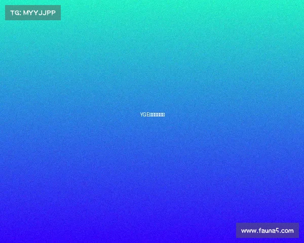 YGE竞界风云再起