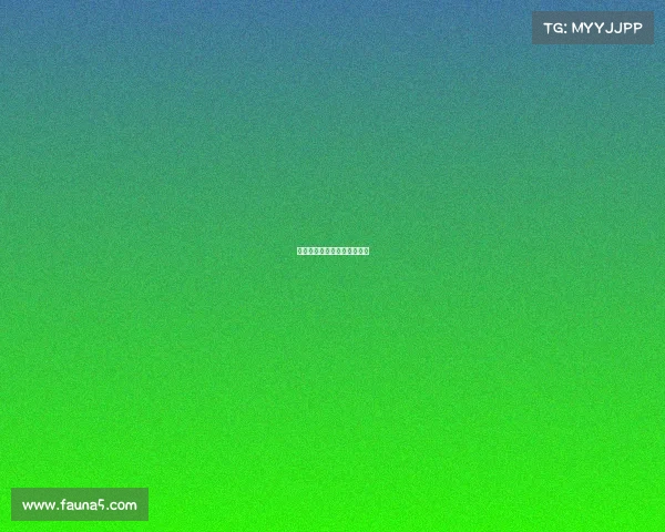 电子竞技证叫什么名字啊好听 电子竞技证叫什么名字啊好听